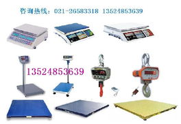 如何選擇專業(yè)的電子秤供應(yīng)商 品質(zhì)、優(yōu)惠與技術(shù)服務(wù)的均衡之道